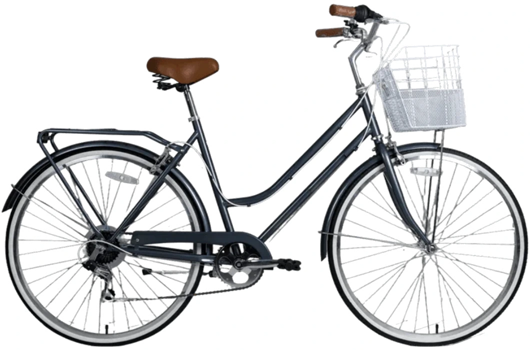 Alquiler de bicicleta de paseo en Valencia - Bici urbana clásica holandesa en Cobra Rental Bike
